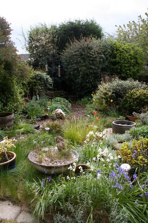 Mere Cottage B & B Alsager Exterior photo